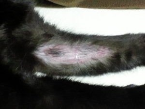 20120608b.jpg