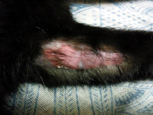 20120608c.jpg