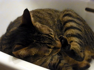20120613a.jpg