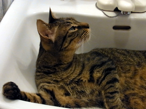20120613c.jpg