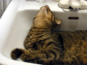 20120613d.jpg