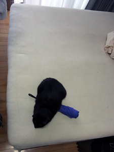 20120620b.jpg