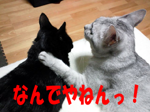 20120628a.jpg