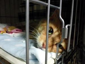 20120703b.jpg