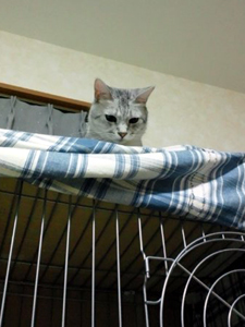 20120704e.jpg