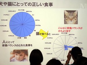 20120718a.jpg
