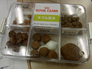 20120718e.jpg
