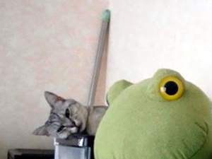 20120820b.jpg