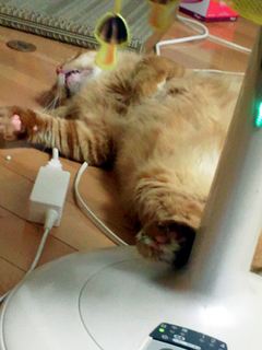 ヒマで死ぬ〜
