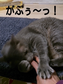 2015-02-17-20-31-44_deco.jpg