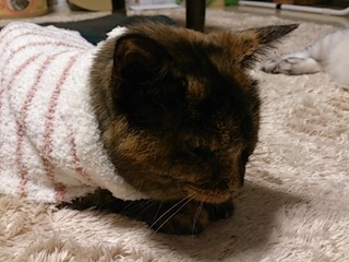 DSC_0142.jpg