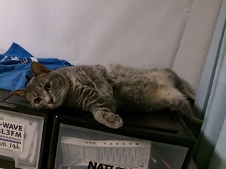 DSC_0519.jpg