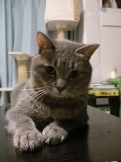 DSC_0553.jpg