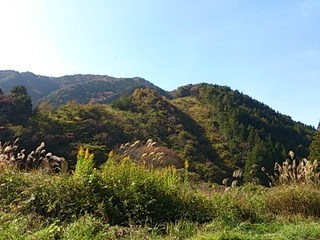 DSC_0840.jpg