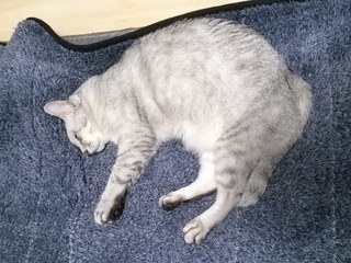 DSC_1024.jpg