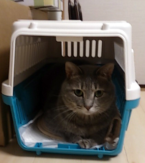 DSC_1116.jpg