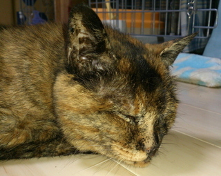 blg20140209b.jpg